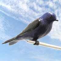 Purple Martin House Accessories